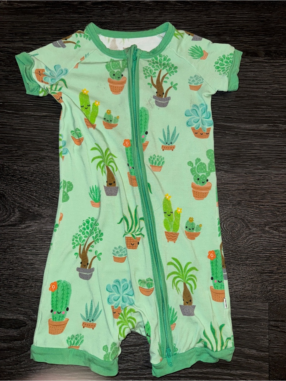 🌱🌵 Little Sleepies Green Cactus Plant Print Zippy Shorty Romper 18-24